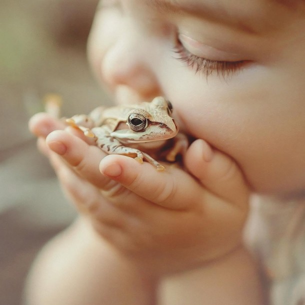 a frog as a friend