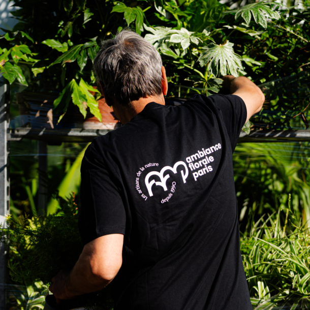 Ambiance Florale Paris ● Identité visuelle
