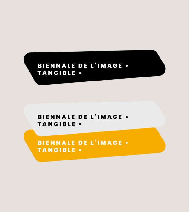 Biennale de l’Image Tangible