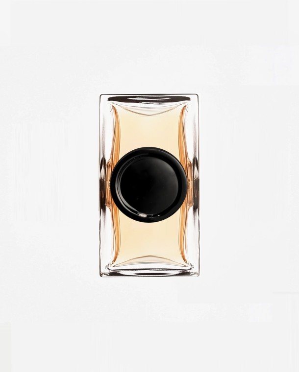 AI_Cabinet de Curiosités