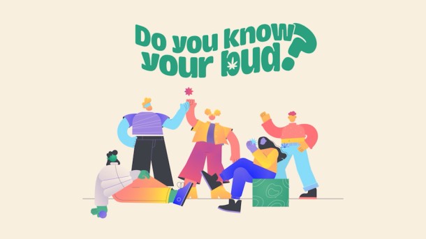 Connais-tu ton pot ?