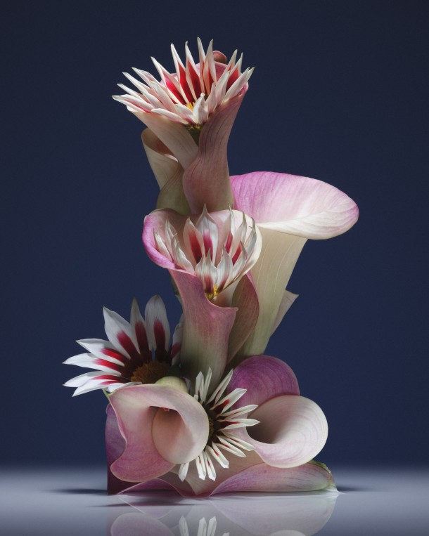 dalis flowers
