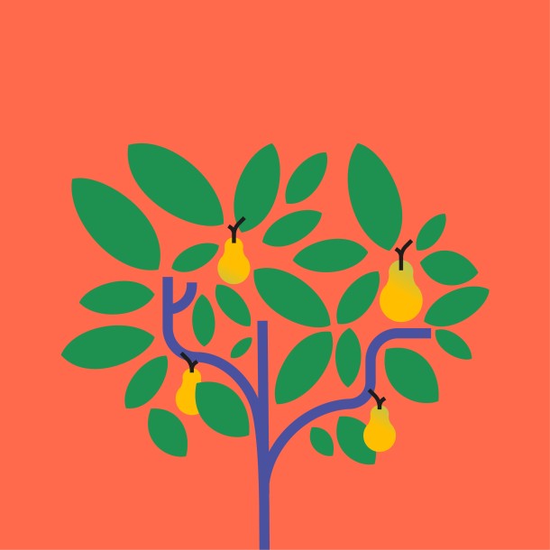 INRAe - illustrations pour le dispositif CEPP