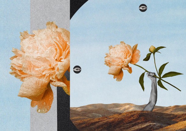 Contemplation n°3 - Flower power