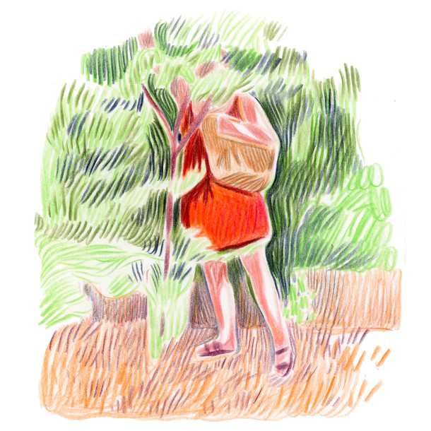 Croquis