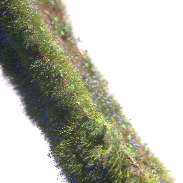 Forêt