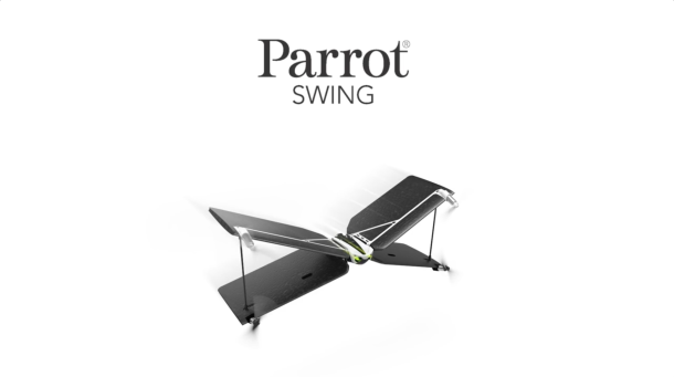 Parrot