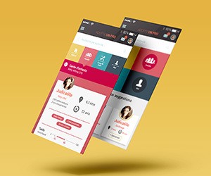 Pages Jaunes App "Adopte un Pro"