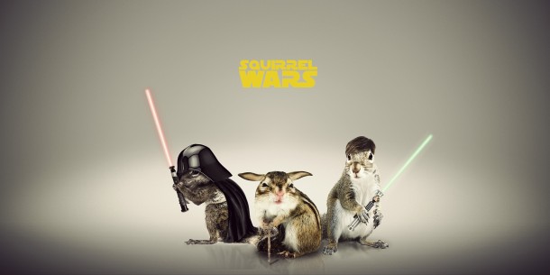 Squirrel Wars