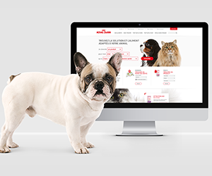 Royal Canin