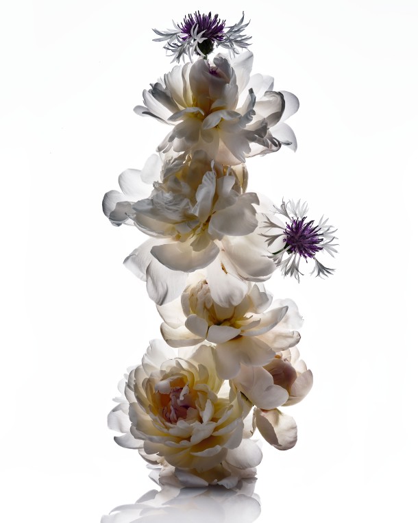 Floral Sculptures