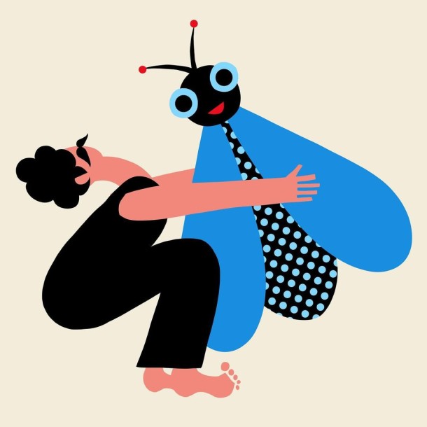 The fly champion