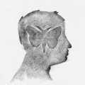 maxime-47