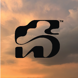 nicolas-124